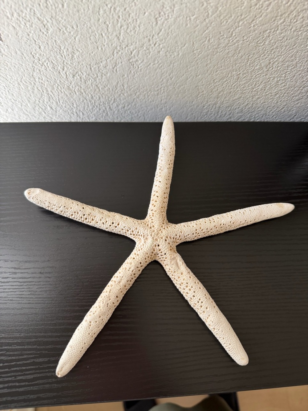 Natural White Starfish Decor